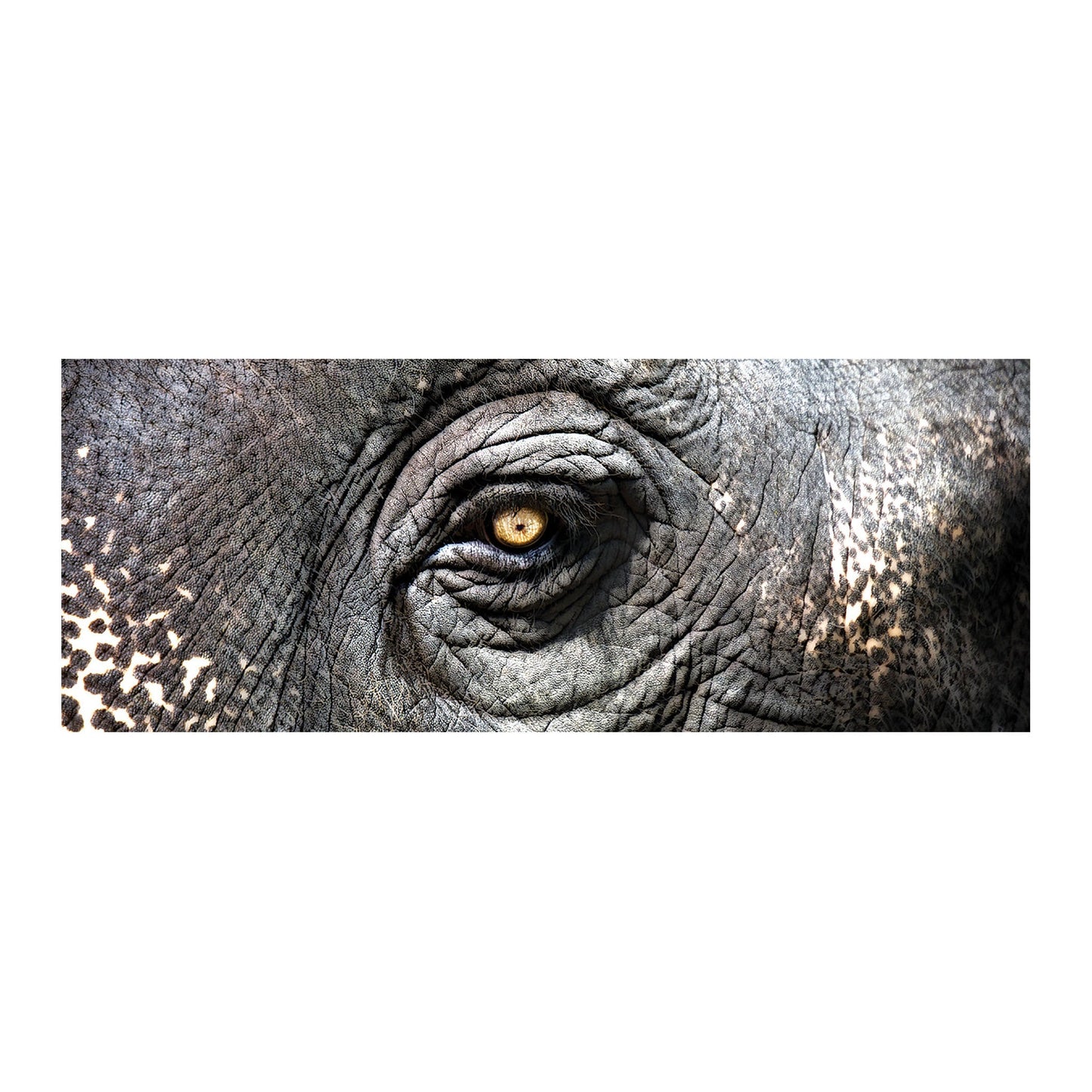ELK Lighting Exclusive Gianni Rusconi Print On Canvas - 1 Wall Art, ELK Lighting, - Modish Store | Modishstore | Wall Art