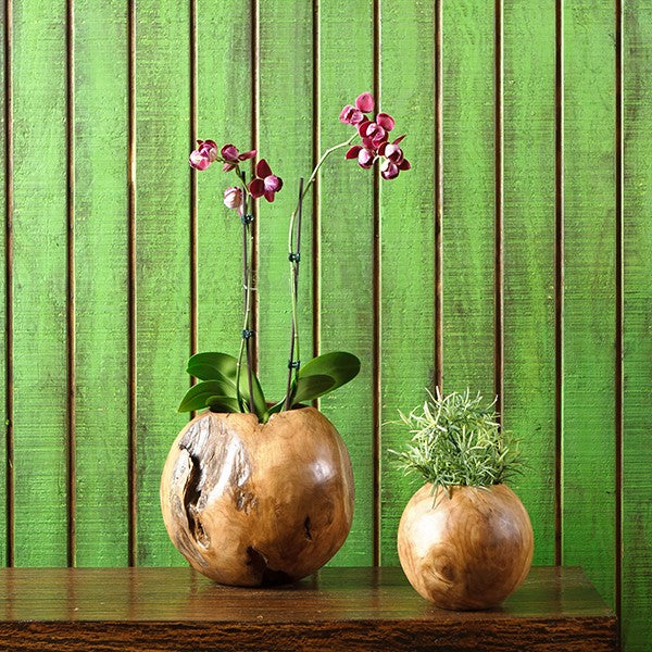 HabiniTeak Planters, Ball Pots | Planters, Troughs & Cachepots | Modishstore