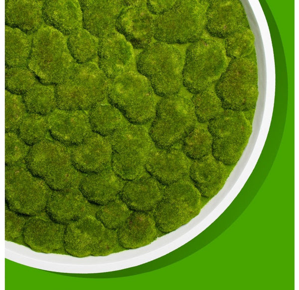 Green Wall, 'Bun Moss', Round by Gold Leaf Design Group | Green Wall | Modishstore-3