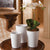 Audrey Pots -Set of 3 By Napa Home & Garden