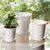 Audrey Pots with Saucers-Set of 3 By Napa Home & Garden