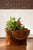 Napa East Sonoma Half Barrel Planter