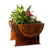 Napa East Sonoma Half Barrel Planter