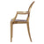 Fine Mod Imports Clear Arm Chair | Armchairs | Modishstore-10