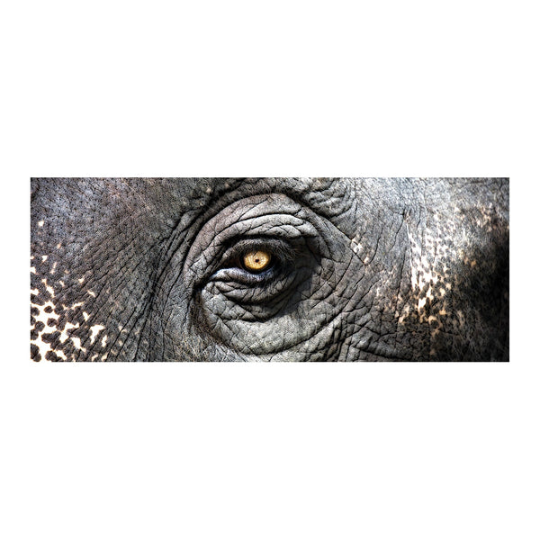 ELK Lighting Exclusive Gianni Rusconi Print On Canvas - 1 Wall Art, ELK Lighting, - Modish Store | Modishstore | Wall Art