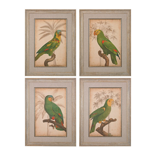 Sterling Industries Parrot And Palm I, II, III, IV - Fine Art Giclee Under Glass | Modishstore | Wall Art