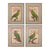 Sterling Industries Parrot And Palm I, II, III, IV - Fine Art Giclee Under Glass | Modishstore | Wall Art
