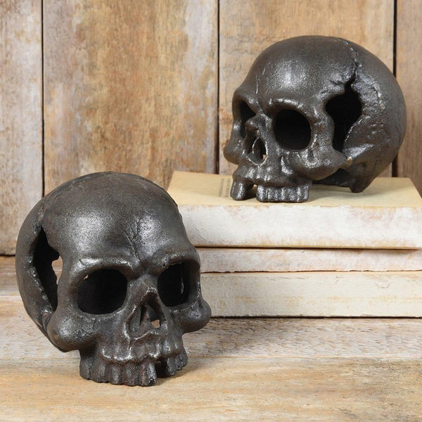 HomArt Skull - No Jaw - Natural - Feature Image | Modishstore | Sculptures