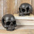 HomArt Skull - No Jaw - Natural - Feature Image | Modishstore | Sculptures