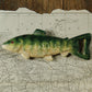 HomArt Fish Bottle Opener - Set of 6-3