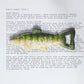 HomArt Fish Bottle Opener - Set of 6 - Feature Image | Modishstore | Wine & Bar Accessories