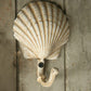HomArt Seashell Wall Hook - Cast Iron - Scallop - Antique White - Set of 4 - Feature Image | Modishstore | Hooks & Racks