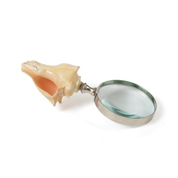 White Shell Magnifier - Set of 2 by GO Home