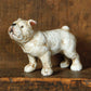 HomArt Beau the French Bulldog - Cast Iron - Set of 6 - Feature Image | Modishstore | Animals & Pets