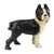 HomArt Tyson the Boston Terrier - Cast Iron - Set of 4-2