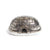 Igloo Butter Dish by GO Home
