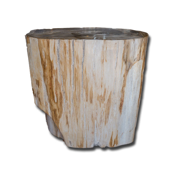 Petrified Wood Stool PF-2138 by Aire Furniture