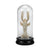 Guild Master Naturae Ancient Lobster Curio | Modishstore | Sculptures