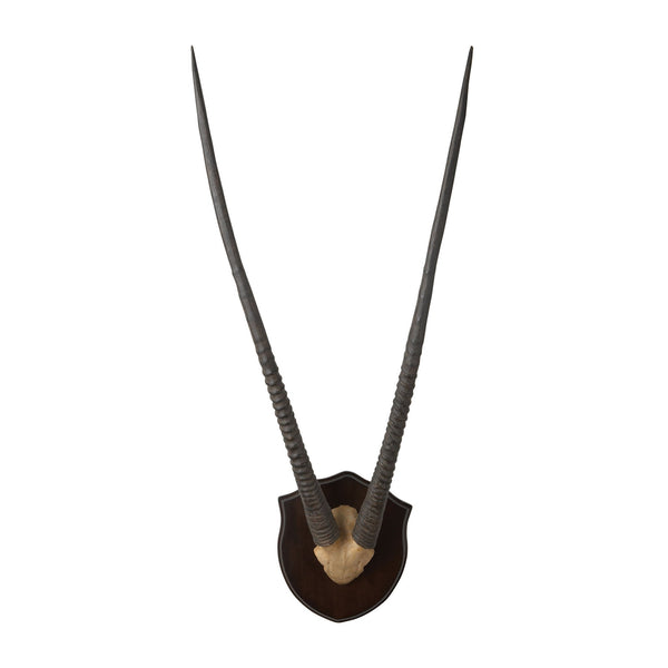 Dimond Home Wall Mounted Resin Gazelle Horns With Plaque