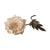 ELK Lighting Cream Poppy Flower Home Accents, ELK Lighting, - Modish Store | Modishstore | Home Accents