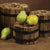 HomArt Wood Bundle - Round | Modishstore | Home Accents
