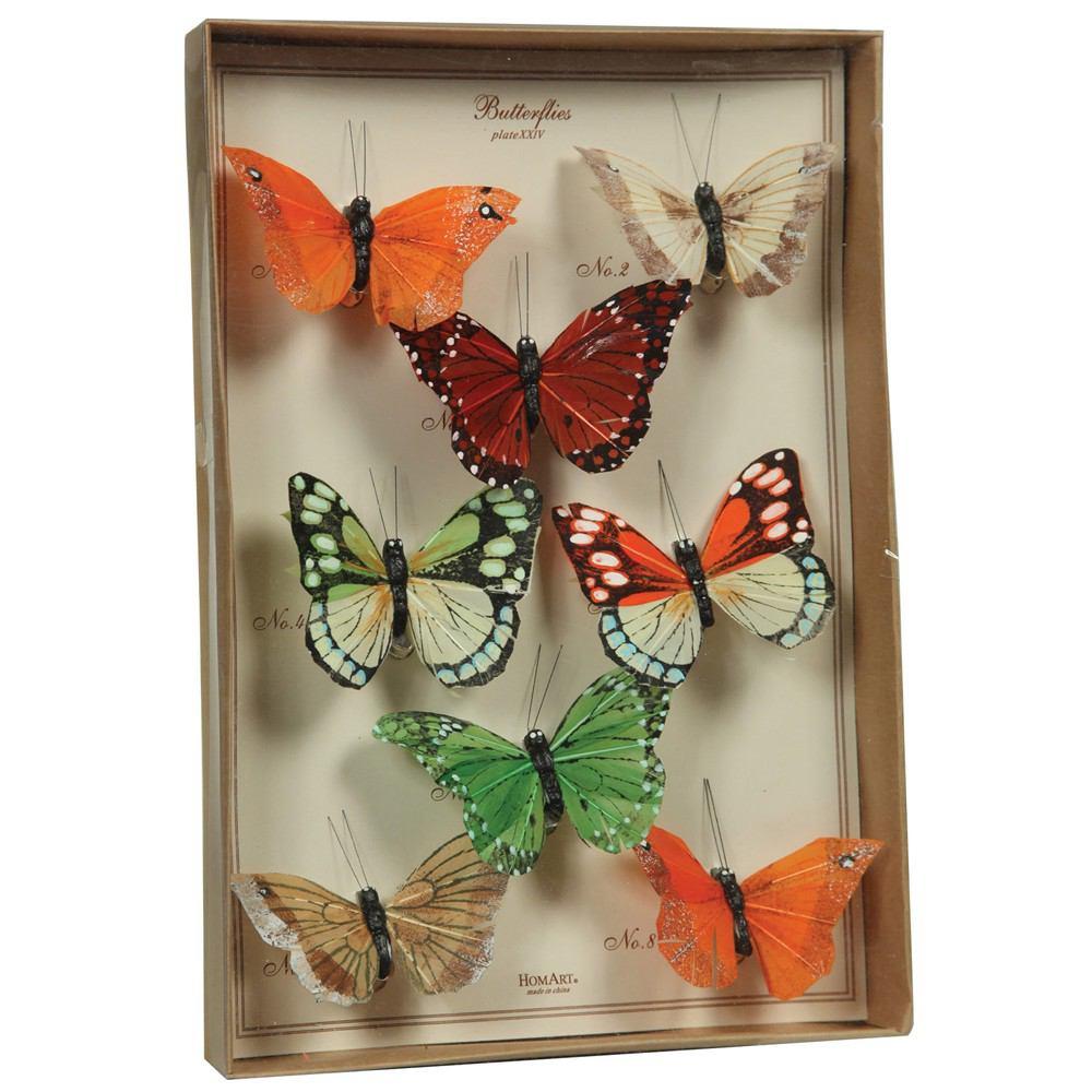 HomArt Butterfly Specimen Box - Multicolor-2