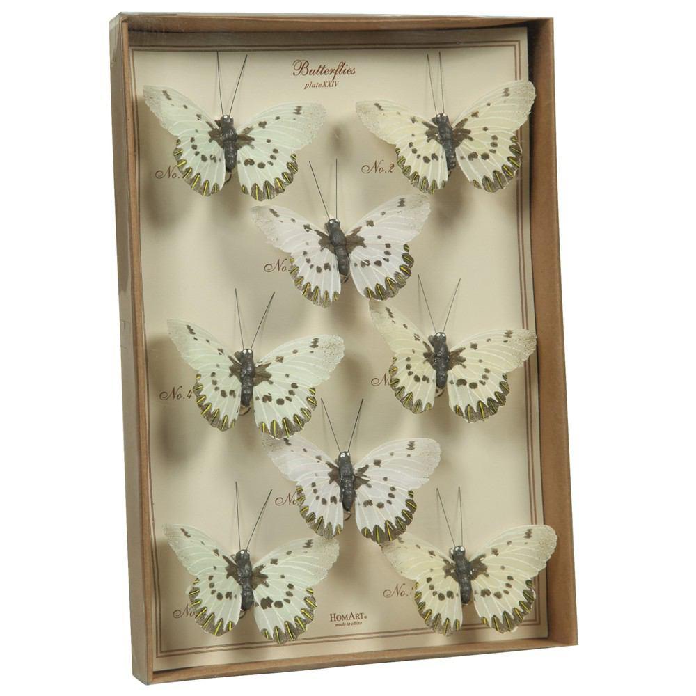 HomArt Butterfly Specimen Box - White-Brown-4
