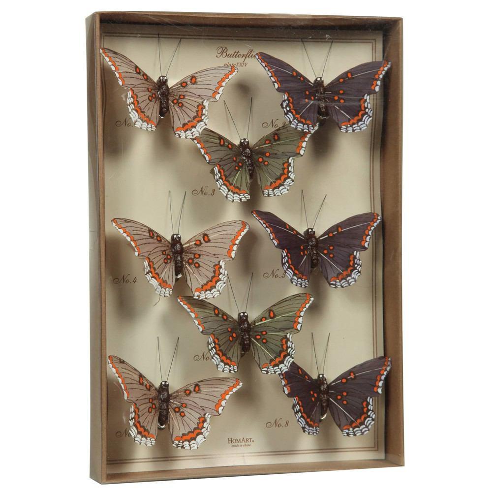 HomArt Butterfly Specimen Box - Purple-Green-5