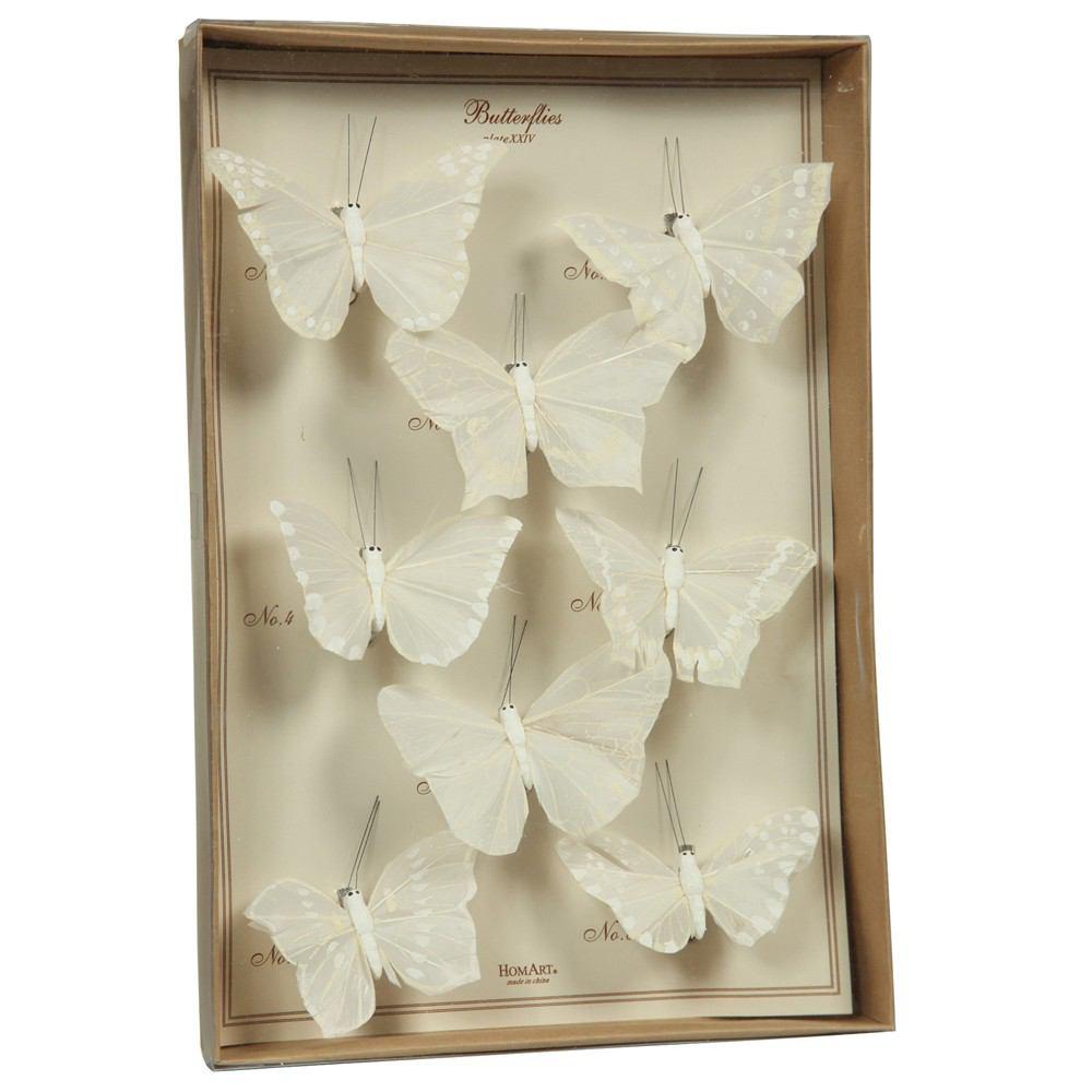 HomArt Butterfly Specimen Box - Set of 4 - Feature Image | Modishstore | Holiday