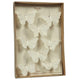 HomArt Butterfly Specimen Box - Set of 4 - Feature Image | Modishstore | Holiday