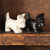 HomArt Baby Bentley the Westie - Cast Iron - Set of 12 | Modishstore | Animals & Pets