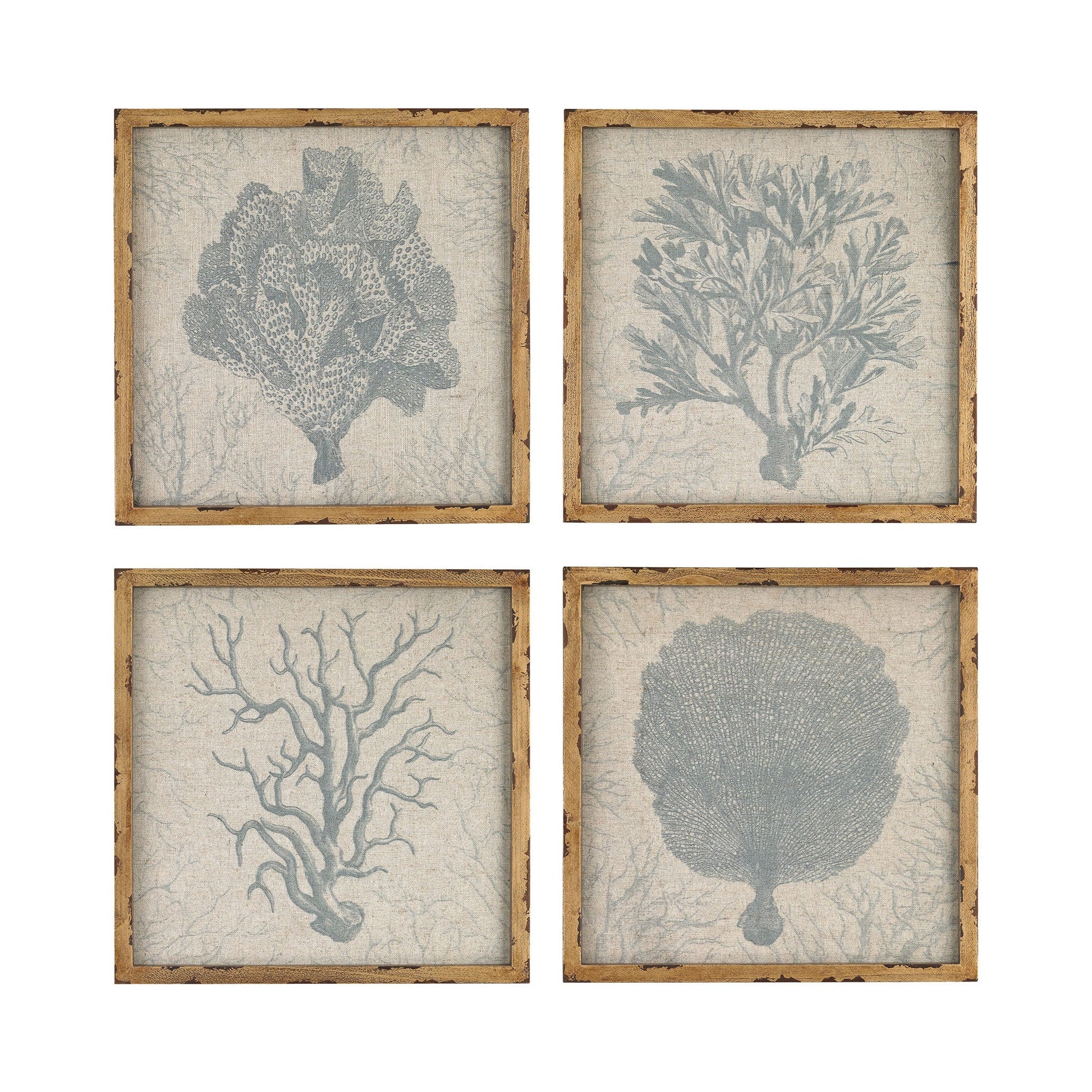 Sterling Industries Coral Prints on Linen | Modishstore | Wall Art