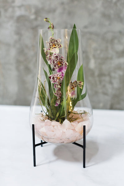 Venture Stand Set of 4 by Accent Decor
