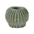 Sterling Industries Rincon Planter | Modishstore | Planters, Troughs & Cachepots
