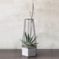 HomArt Indio Planter - Cement - Set of 2-6