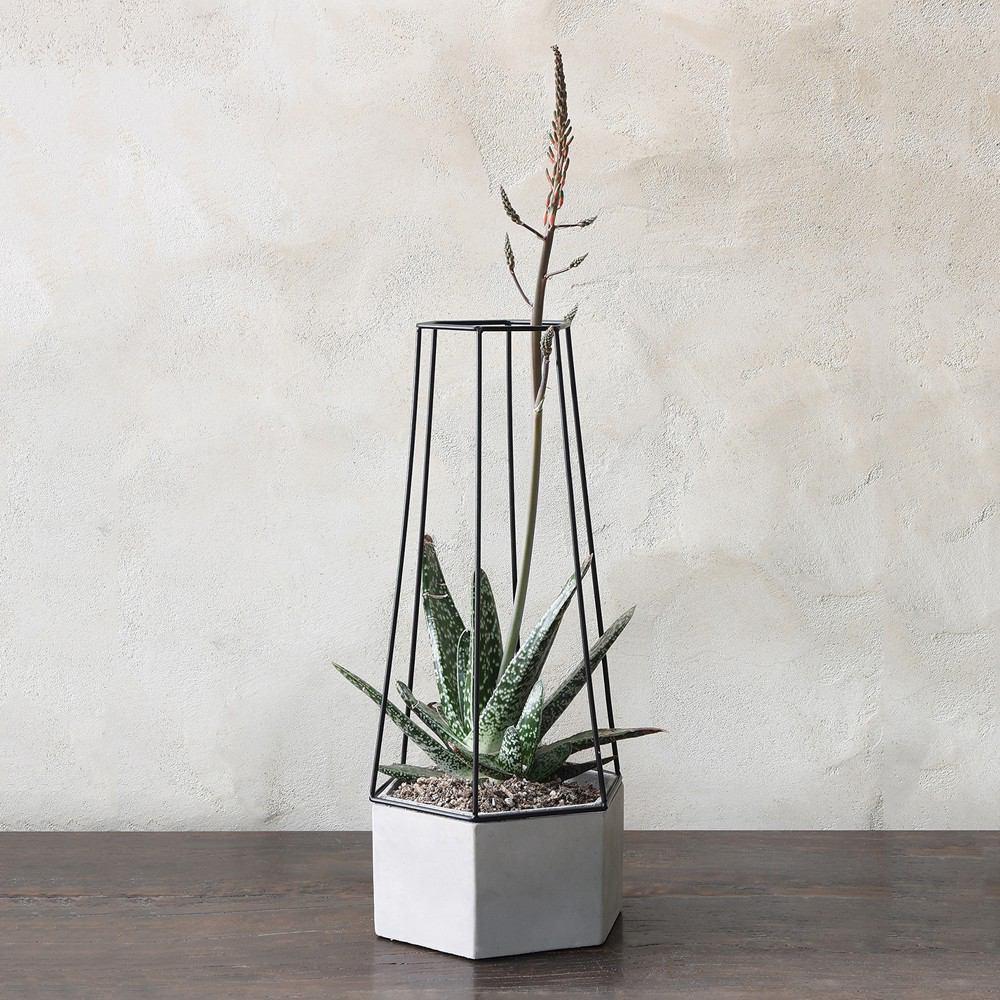 HomArt Indio Planter - Cement - Set of 2-6