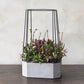 HomArt Indio Planter - Cement - Set of 2-7