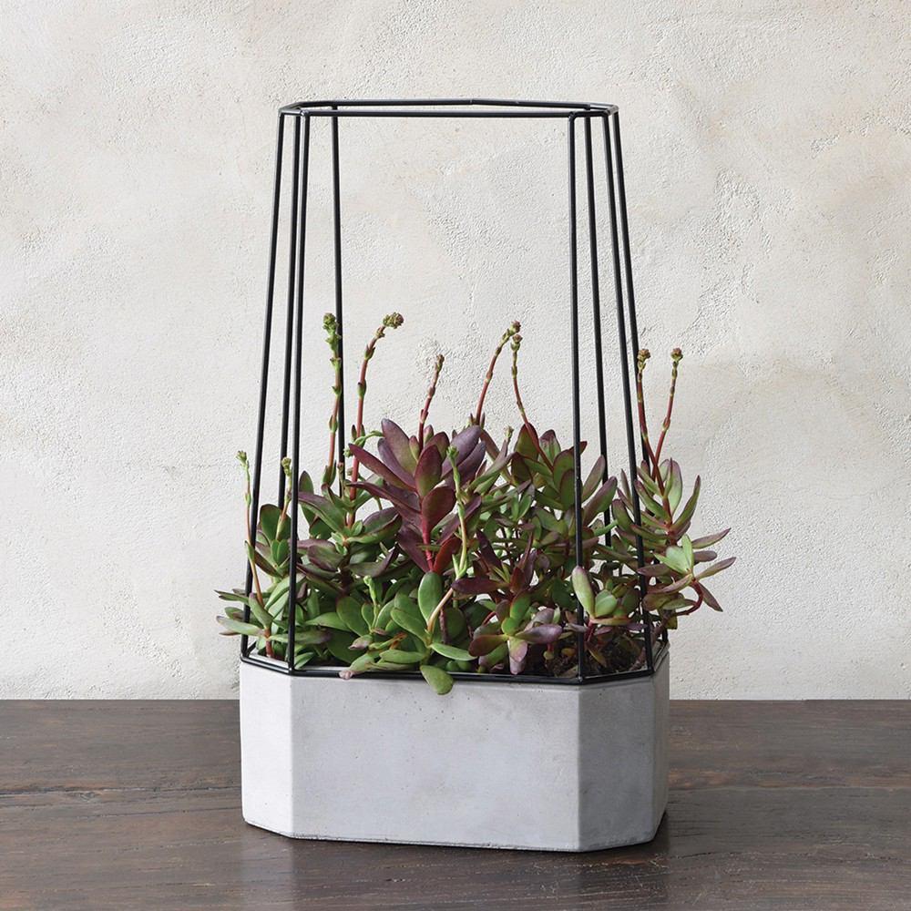 HomArt Indio Planter - Cement - Set of 2-7
