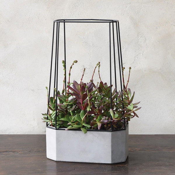 HomArt Indio Planter - Cement - Set of 2-7