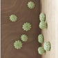 Gold Leaf Design Group Wall Play - 'Cactus' - Set/10 | Wall Decor | Modishstore-3