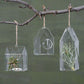 HomArt Glass House Terrarium - Set of 6 | Modishstore | Glass Terrariums