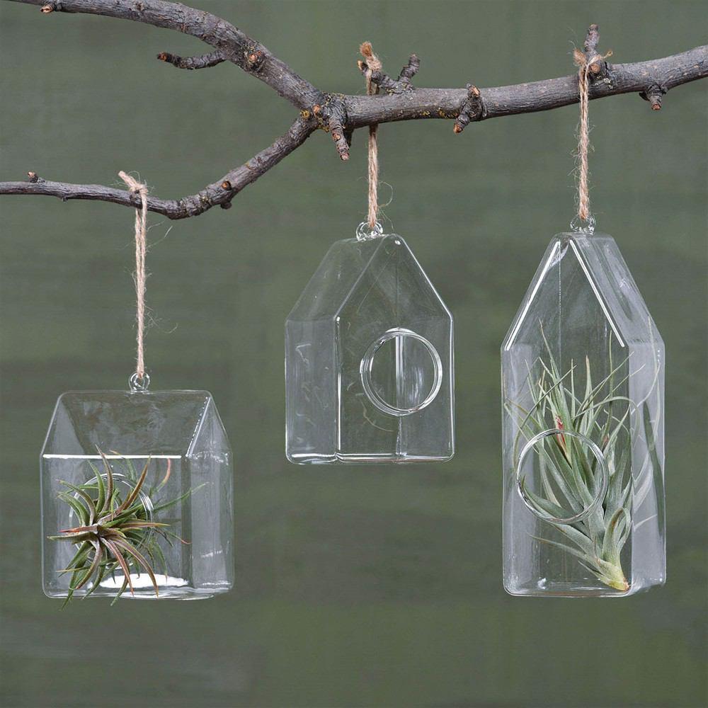 HomArt Glass House Terrarium - Set of 6 | Modishstore | Glass Terrariums