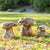 Garden Age Supply Teak Mushroom Stools | Outdoor Stools & Benches | Modishstore-3