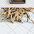 Garden Age Supply Habini Root Console Table | Console Tables | Modishstore