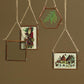 HomArt Cornell Ornament Frame - Rectangle - Wallet - Copper - Set of 4 - Feature Image-2