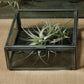 HomArt Pierre Leaded Glass Case | Modishstore | Display Cases