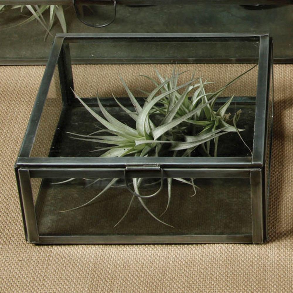 HomArt Pierre Leaded Glass Case | Modishstore | Display Cases