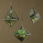 HomArt Pierre Geometric Terrarium - Zinc - Set of 4 | Modishstore | Glass Terrariums