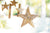 Garden Age Supply Harini Driftwood Flat Stars - 2 Sets of 3 Pcs each | Holiday | Modishstore-2
