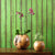 HabiniTeak Planters, Ball Pots | Planters, Troughs & Cachepots | Modishstore
